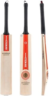 Powerspot MB 300Cricket Bat (2024)