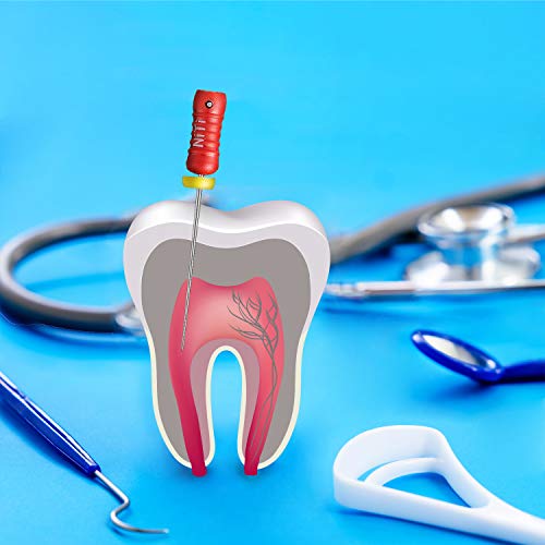 Jmu Endodontic Root Canal Files,Niti Hand Use Spreaders,15#-40#,21Mm,6Pcs/Box #TOP5