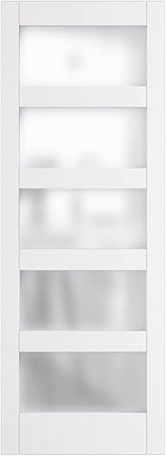 Puerta corrediza de vidrio de 30 x 84 pulgadas, losas resistentes para puerta de granero, requiere montaje, puertas de granero para el hogar, 5