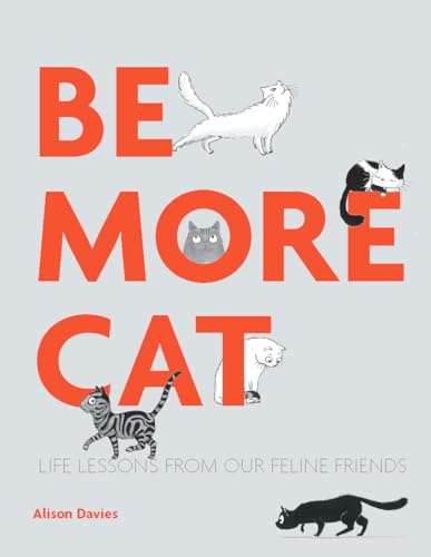 Be More Cat: Life Lessons From Our Feline Friends