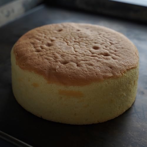 弁天堂 スポンジケーキ 5号×2個