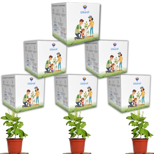 Utkarsh Brinjal Seed Starter DIY Grow Kit with Gift Bags | Best Eco-Friendly Return Gift Ideas for Kids & Beginners | Easy to Grow it Yourself Gardening Set for Home & Kitchen Garden | Pack of 6