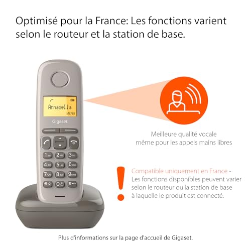 Gigaset A170 Solo Téléphone fixe sans fil DECT/GAP Taupe [Version Française]