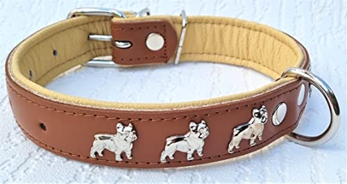 Bully Französische Bulldogge Frenchie Halsband - Halsumfang 30-39cm/30mm, 32-44cm/30mm, 36-49cm/30mm Leder Cognac Beige (3. Halsumfang 36-49cm/30mm/55cm)