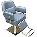 ZZYYZZ La Chaise de Coiffeur pour Le Salon et Le Salon de Coiffure Peut soulever la Chaise imperméable rotative pour Le Style de Coupe de Cheveux Tout Usage,Bleu