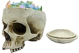 CUZOKOLA Larger 6.9' Human Skull Candy Dish with Lid-Big Skull Candy Jar Skull Head Decor Statue Resin Mold for Halloween Skull Candy Bowl Skull Home Decoration,White Skull Jar Skeleton Bowl Sculpture