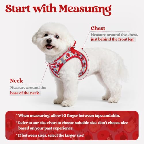 Image of rabbitgoo Dog Harness Medium Sized and Leash Set, Step-in Puppy Pet Vest