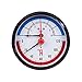 Thermis 3082 Termomanometro 6 bar attacco posteriore G1/2 (80 mm), 0-120°C