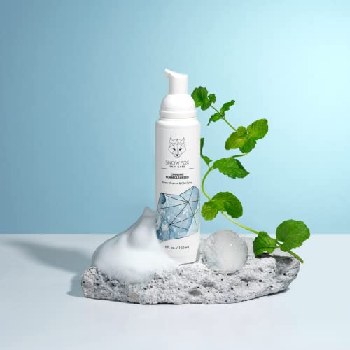 Snow Fox Cooling Foam Cleanser With Aloe Vera, Peppermint Oil And Citric Acid, 150Ml Plant Based Cleanser, Non-Sls And Moisturizing Cleansing Foam #TOP6