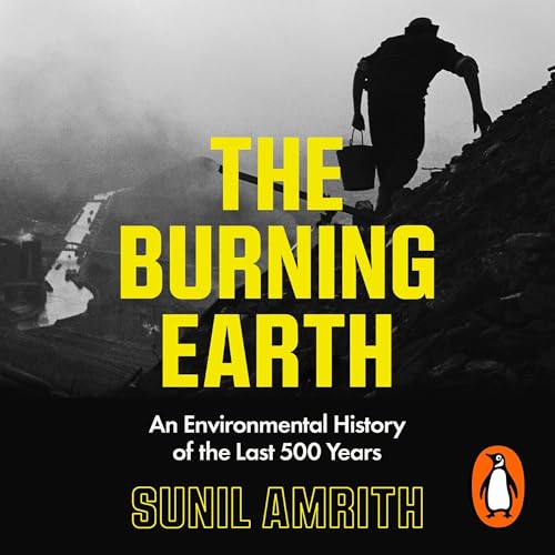 The Burning Earth cover art
