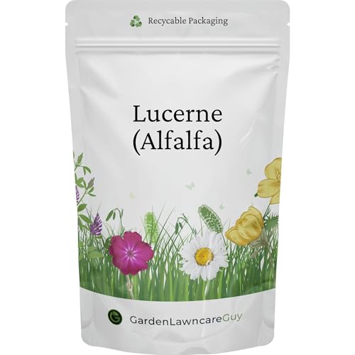 Lucerne Alfalfa Seeds - Premium Wildflower Green Manure for Soil Health & Pollinators - Medicago Sativa - Garden Lawncare Guy (100g)
