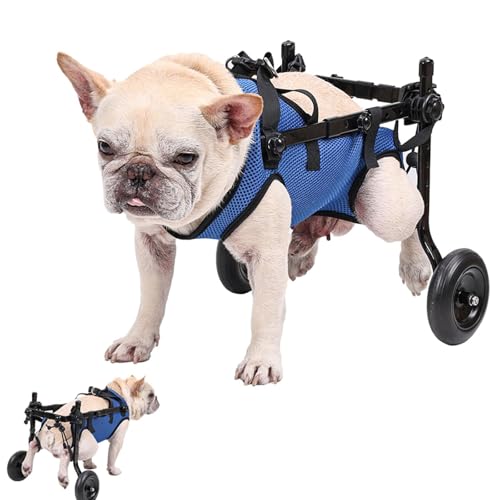 Chariot de mobilité réglable pour chien pour balades en forêt