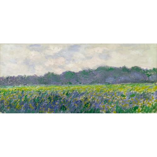 Toile roulée Champ d'iris jaunes Monet 76x101 cm ARTICULOZY
