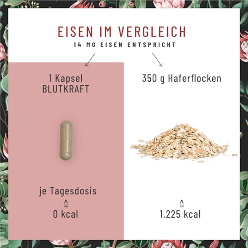 Eisen Komplex mit Vitamin C und Fenchel vegan - 120 Kapseln - vegane Eisentabletten in Kapselform, leichter zu schlucken - ohne Zusatzstoffe, laborgeprüft