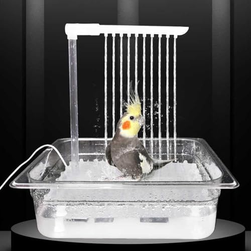 Ducha transparente para pájaros con grifo giratorio automático 4