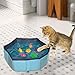 Katzen-Pool-Wasserspielzeug, 6 Stück Katzenfischspielzeug Im Wasser, Tragbares Katzen Hundepool, Faltbar Wasserspielzeug, Interaktives Pool-Katzenspielzeug, Schwimmendes Und Badendes Fischspielzeug