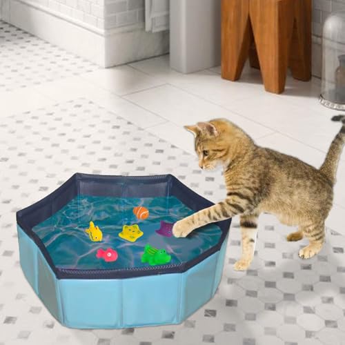 Katzen-Pool-Wasserspielzeug, 6 Stück Katzenfischspielzeug Im Wasser, Tragbares Katzen Hundepool, Faltbar Wasserspielzeug, Interaktives Pool-Katzenspielzeug, Schwimmendes Und Badendes Fischspielzeug