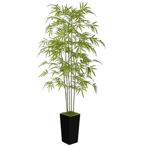 ProDeco Artificial Bamboo Tree 6FT Tall Fake Plants for Home Office Living Room Decor Indoor (Black) Cover