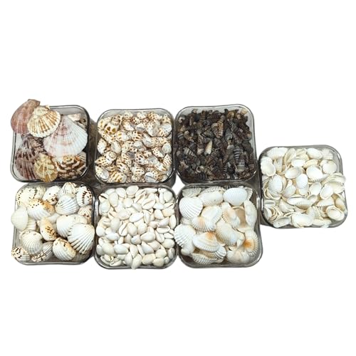 Nivip 7 different type of SeaShells Mixed collection for Aquarium...