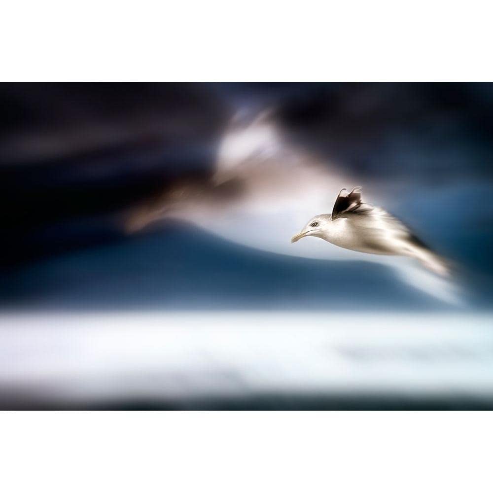 ArtDirectDreamfly 14x9 UnFramed Art Print Poster Ready for Framing by Steger, Uwe