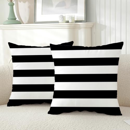 TAOSON Pack of 2,Home Decorative Geometric Black White Striped Pattern Cozy Soft Throw Pillow Cases Cushion Covers Shells for Couch Bed Sofa Farmhouse Manual 18x18 Inches Only Cover No Insert S005