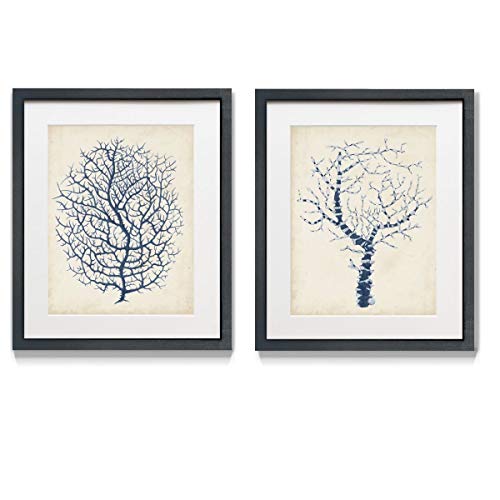 Renditions Gallery Indigo Coral I 2 Piece Framed Artwork Set, Underwater Ocean Themed Pair, Shades of Blue, Modern Black Matte Frame, White Mat & Plexiglass, 16 In W X 20 In H, Made in America