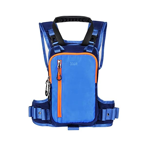 LUCKY-CLOVER-Ski-Harness-for-Kids-Learn-to-Ski-Safely-and-Teach-Your-Child LUCKY CLOVER Ski Harness for Kids: Learn to Ski Safely and Teach Your Child