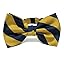 Navy Blue and Gold