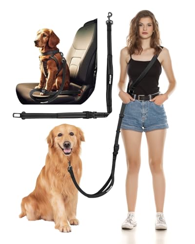 Hands-Free Dog Leash