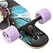41 inch Freeride Longboard 8 Layer Canadian Maple Wood Skateboard Complete Cruiser, Cruiser for Cruising, Carving, Freestyle and Downhill