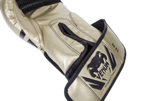 Image of Venum Challenger Boxing Gloves