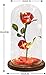 TEAMO Rosa Bella y Bestia,Flor Bella y Bestia,Elegante Cúpula de Cristal con...