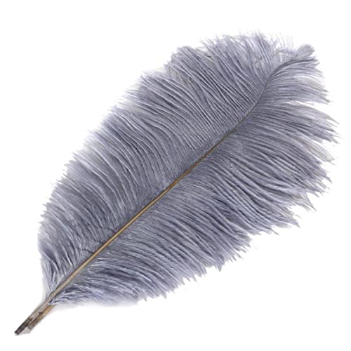Plumes d'autruche grises de haute qualité pour décoration haut de gamme - 7