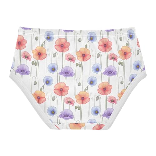 Joisal Flowers Soft Pastel Orange White Cute Panties Girl Girls Underwear Toddler Cotton Florals Briefs Undies Kids 2t2