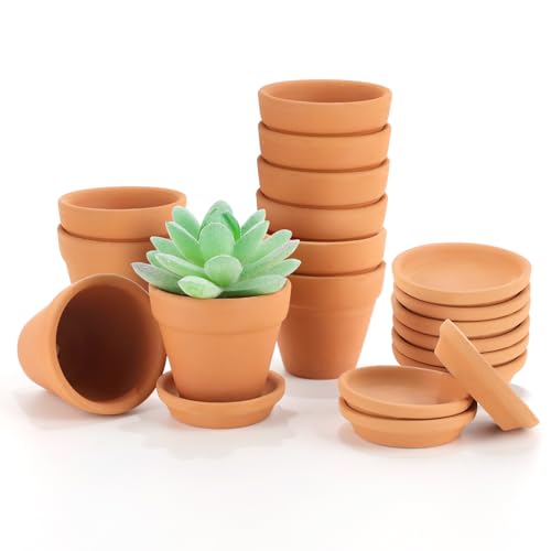 Qivra 10 Piezas Mini macetas de Barro de Terracota con Bandeja 5.5x5cm, Macetas Pequeñas de Terracota, Macetas Suculentas, Mini Maceta para decoración