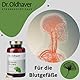 Dr. Oldhaver Gingko Biloba + Vitamine (120 Kapseln) - Hochwertiger Gingkoextrakt mit Vitamin C, B1, B2, B6, B12, Folsäure, Für bessere Durchblutung und Konzentration