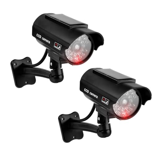 _~[hƃJCCTVJLED_ŐԐFOĎA2