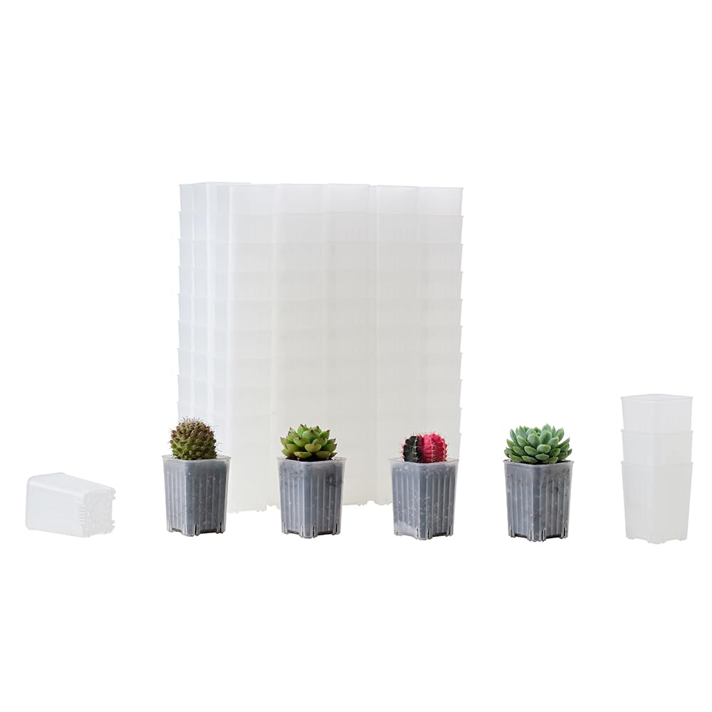 Lot de 120 petits pots de semis carrés en plastique transparent de 6,1 cm avec trou de drainage pour germination, herbes et plantes grasses