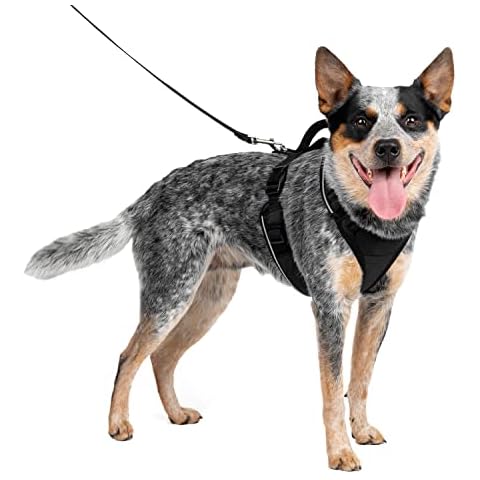 PetSafe EasySport Adjustable Dog Harness Cover