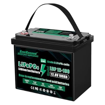 EverExceed 12V 100AH LiFePO4 Battery with Built-in 100A BMS, 1280Wh Energy Lithium Battery with Low Temperature Protection, Perfect for Yacht, Boat, Marine, RV, Home Energy