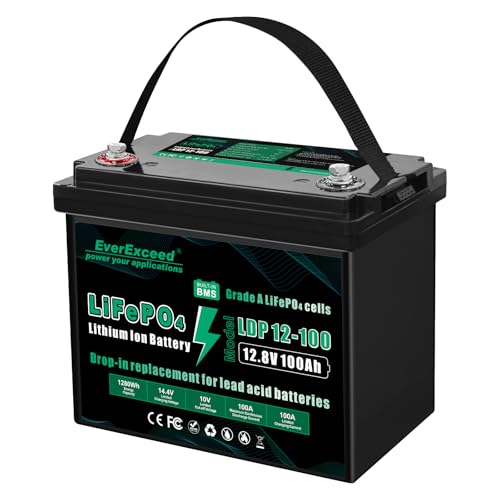 EverExceed Batterie Lithium 12V 100Ah avec BMS 100A Intégré, Batterie Lifepo4 1280Wh avec Protection Contre les Basses Températures, Idéale pour les Yachts, Les Bateaux