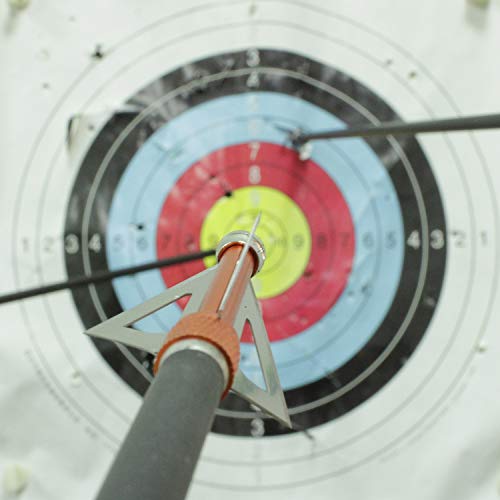 Maifield 125 Grain 3 Fixed Blade Bowhunting Broadheads 12 Pcs 1 1/4 Cutting Diameter Screw-In Archery Hunting Head Arrow Tip Crossbows And Compound Bow Arrows (125 Grain 12Pk) #TOP3