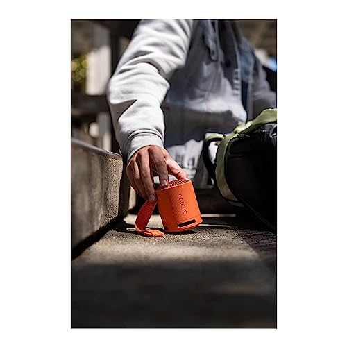 Sony SRS-XB100 Wireless Bluetooth Portable Travel Speaker Bundle (Orange) - image 9