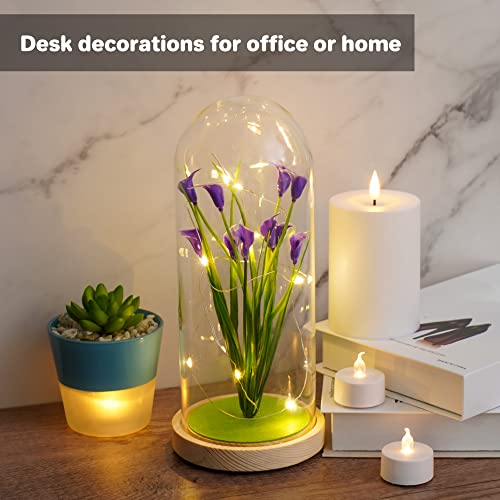 Viodaim Artificial Preserved Calla Lily Flower In Glass Dome Night Light Table Desk Bedroom Home Office Décor For Mom From Daughter Gifts For Women Kids Birthday Anniversary Valentines Day #TOP2