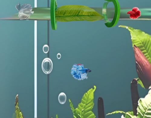 Image of Suspended Acrylic Tube Tunnel,Acrylic Betta Bed, Betta Leaf mat breeding and Resting Bed simulating The Natural Habitat of Betta spawning Grounds, Betta Toy shelter