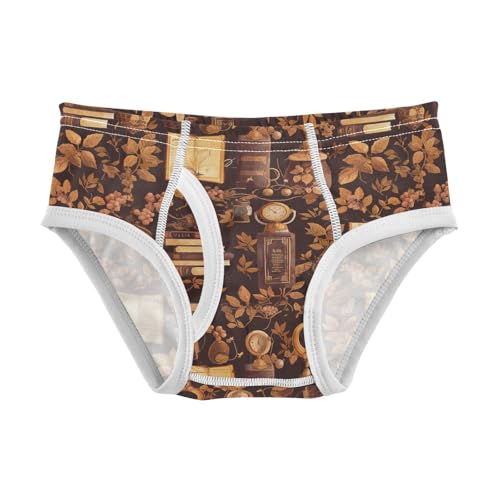 visesunny Boys Potty Training Underwear Vintage Book Floral Clock Breathe Cotton Briefs Size 2T-8Y for Toddler