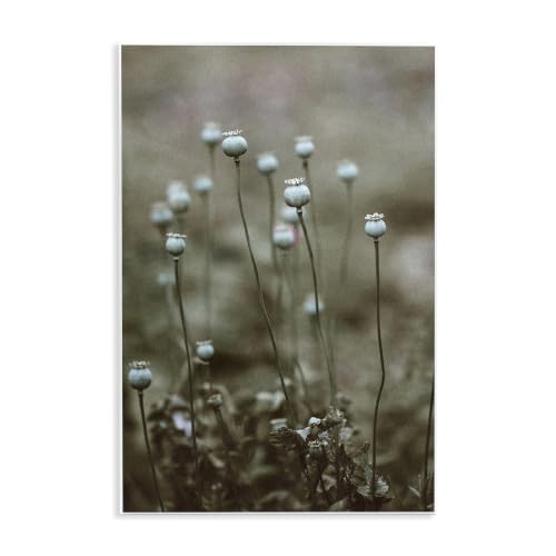 White Floral Woodland, 13 x 19 Inch Mounted Print on Wall Plaque