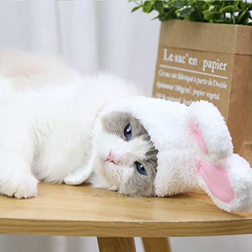 Orelhas de coelho de gato, orelhas de coelho de pelúcia, chapéu de coelho fofo para gato, chapéu de