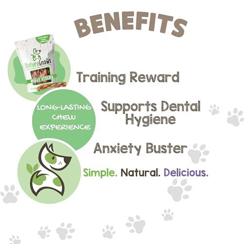 Nature Gnaws Braided Bully Sticks for Dogs 5-6" (3 Count) - Long Lasting for Small and Medium Dogs - Natural Beef Dog Chew Bones - Rawhide Free