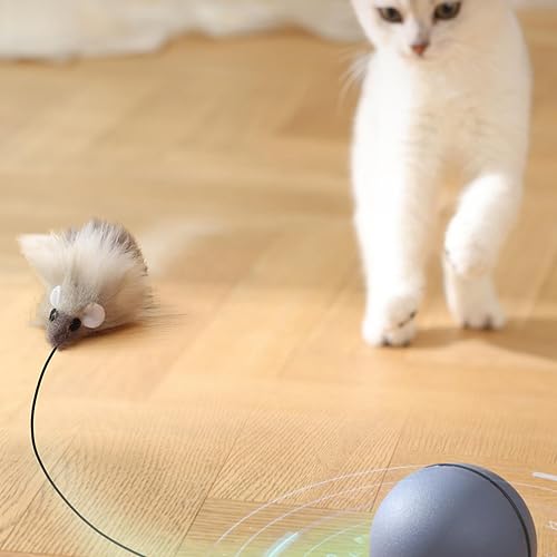 Bola de brinquedo para gato com rolamento automático | Bola inteligente com rotação automática - Bri